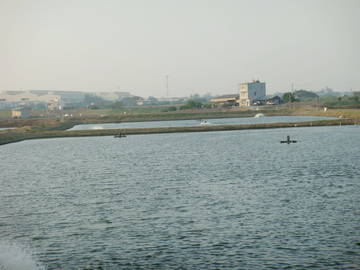 路竹漁塭