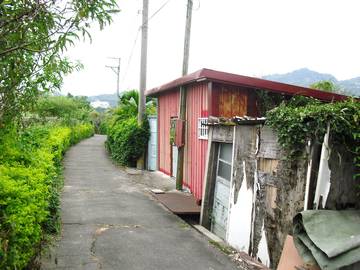 石岡梅子田