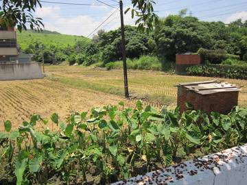 沙田路農建地