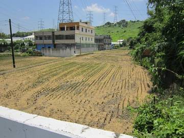 沙田路農建地