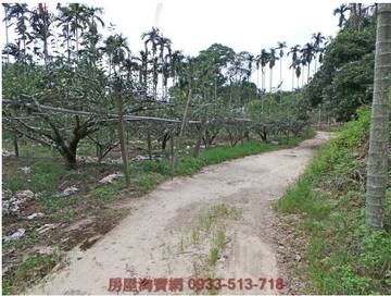  東勢段中嵙小段土地  