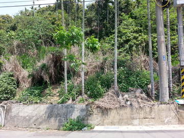 豪傑山莊對面農牧用地