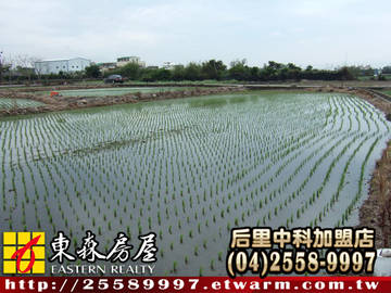 大甲武陵田(二)(大甲區)＊大甲土地大甲農地＊東森后里