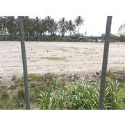 編號89-頂柳農地