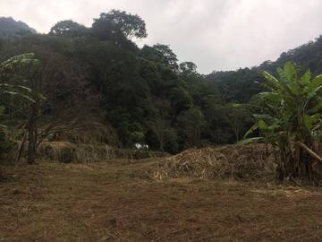 關西山泉休閒美地丙建+農地