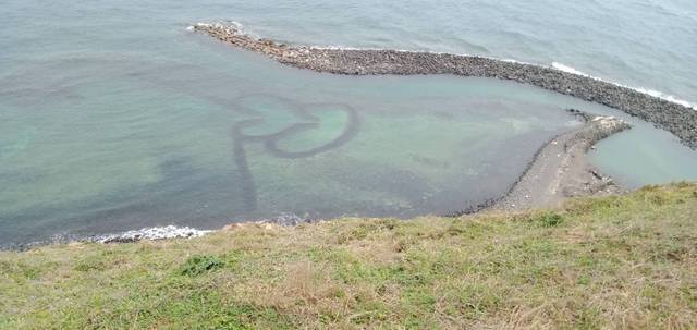 1282446_b21dca9954822a753f19fa944e08d837