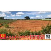 東森房屋大雅中清店-台中航空城-吳厝北段