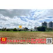 東森房屋大雅中清店-市區都內美田