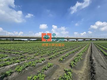 【售】土庫大路邊農地