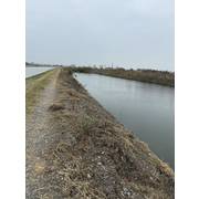 東石港口宮旁俗魚池