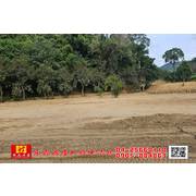 東森房屋大雅中清店-苑裡露營休閒農地