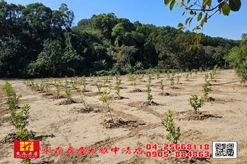 東森房屋大雅中清店-苑裡露營休閒農地