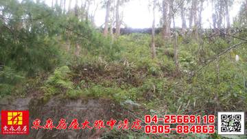 東森房屋大雅中清店-卓蘭林地