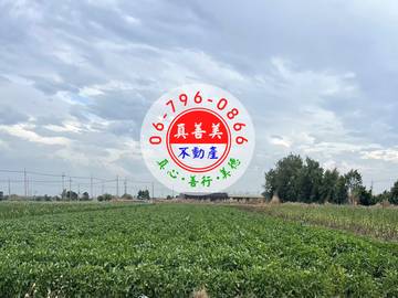 #4540 西港近後營國小農地