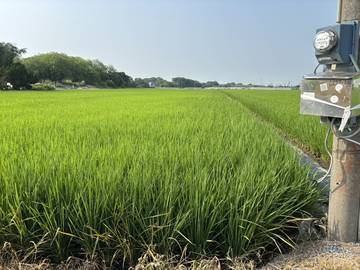 頭橋工業,江厝店,田中央增值農地