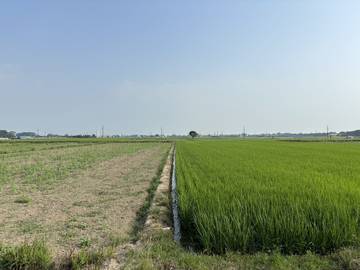 頭橋工業,江厝店,田中央增值農地