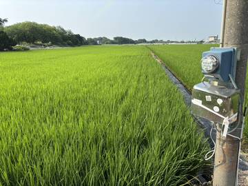 頭橋工業,江厝店,田中央增值農地