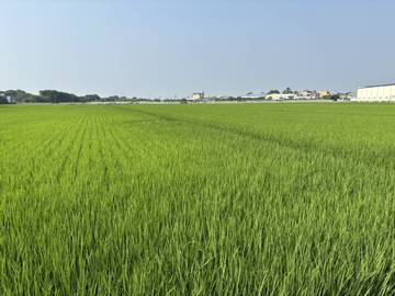 頭橋工業,江厝店,田中央增值農地