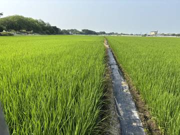 頭橋工業,江厝店,田中央增值農地