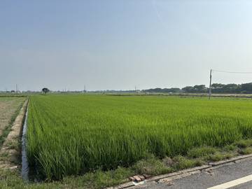 頭橋工業,江厝店,田中央增值農地