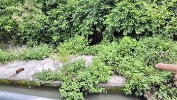 潭子買屋 神岡乙種工業地