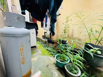 古坑市區住商用地總價透天