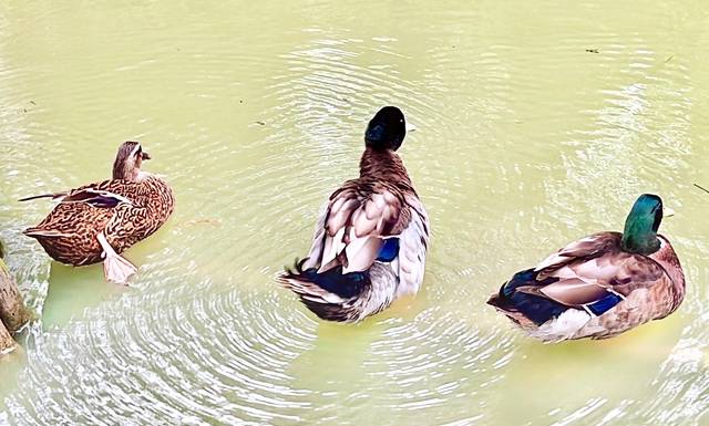 1376693_2b2b509eb41cd67563b2d7e03881aad4