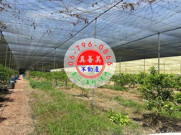 #4610 玉井有網室水果園農地