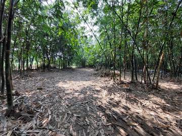 白河農地(嘉義早安房屋)(信誠房屋仲介社)