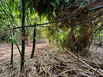 斗六市55米大面寬方正農地