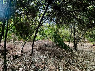 斗六市55米大面寬方正農地