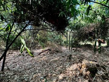 斗六市55米大面寬方正農地