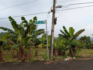 梅林農地(角地)