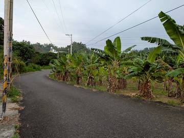 梅林農地(角地)