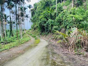 中埔內石子湖15甲農地