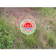 #4673安定近國八一般農業區農地