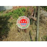 #4678 西港竹林里持分鄉村乙種建地