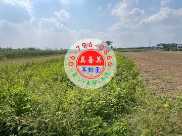 #4670 西港近成功國小農地