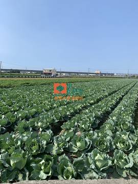 【售】三合里雙面路農地