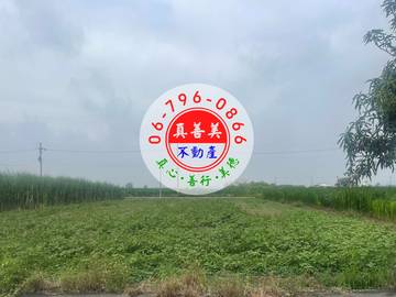 #4686 西港雙面路2.1分農地