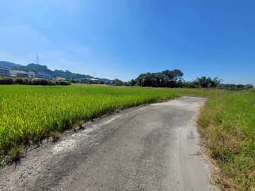 林內鄉台3線旁農地