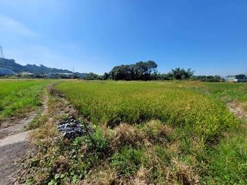 林內鄉台3線旁農地