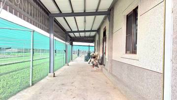 西螺合法建物+1024坪農地三面路)