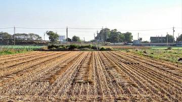 西螺埤頭農地3.64分