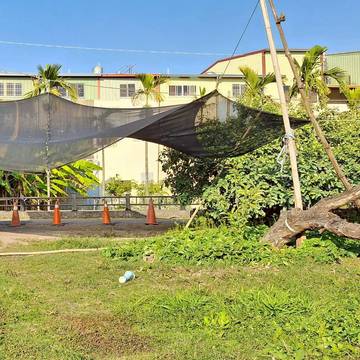 近78交流道 果園農地