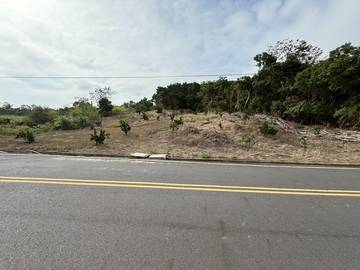 (劍湖山)大湖口農地