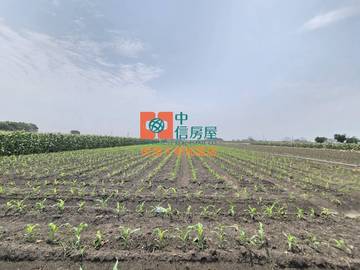 【售】土庫大荖農地